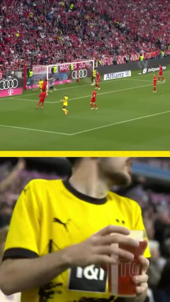 勇者無(wú)懼！這是真多特球迷！在拜仁球迷區(qū)一個(gè)人肆意慶祝！